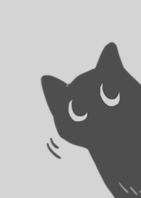 AYS BLACK CAT SAMPLE (GREY)