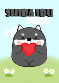 My Fat Cute Black Shiba Inu Theme