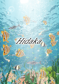 Hidaka Coral & tropical fish