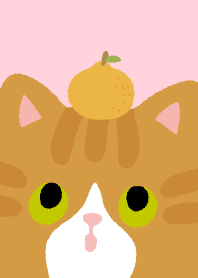 Lucky Orange Cats_Pink1