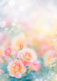 Beautiful rose flower(R1589)