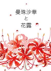 曼珠沙華と花露