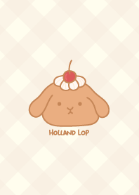 Holland Lop