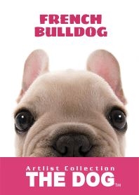 THE DOG French Bulldog 2
