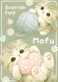 green Greige Cute Fluffy Scottish Fold