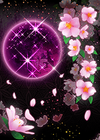 The cherry blossoms and moonlight night