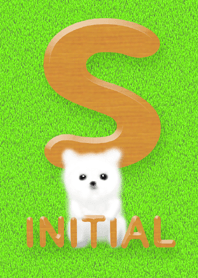 Initial S / White