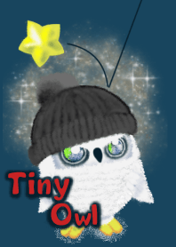 Tiny Owl