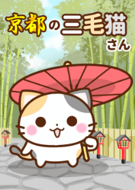 京都の三毛猫さん