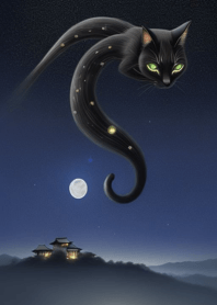 밤의 검은 고양이 o8IZW