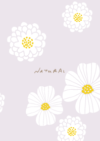 White flower cute10 from Japan