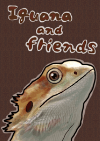 Iguana and frineds