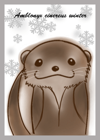 コツメカワウソ 冬