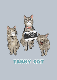 tabbycat11 / slate blue
