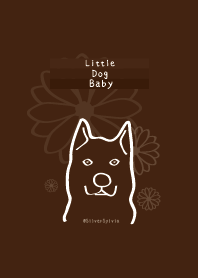 Little dog baby