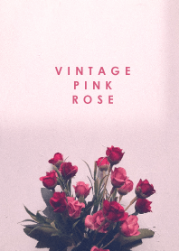 Vintage pink rose_1