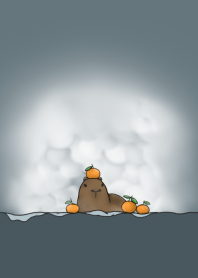 capybara and orange and snow