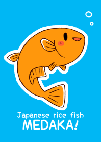 Japanese rice fish MEDAKA