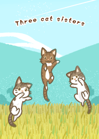 Three cat sisters