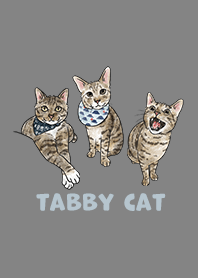 tabbycat2 - dim grey