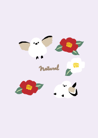 Long-tailed tit, camellia22 from Japan