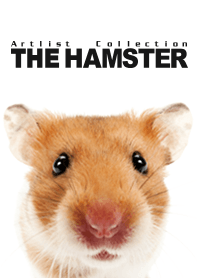 Artlist Collection THE HAMSTER