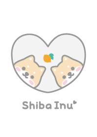 Shiba Inu Lemon [White]