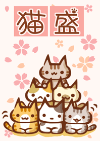 Cat special portion No.16 PYRAMID SAKURA