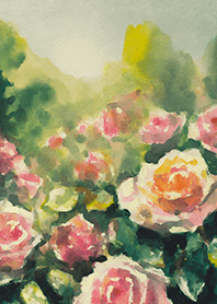 Beautiful rose flower(R4077)