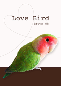 Lovebird/brown08