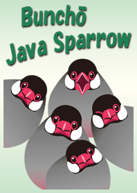 Buncho; Java sparrow