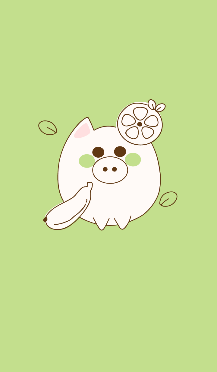 baby pig 44