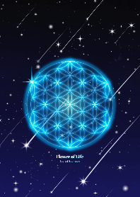 Wish Come True Flower Of Life 6 Line Theme Line Store