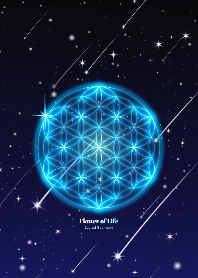 潜在的な 骨髄 気怠い フラワー オブ ライフ 壁紙 無料 Astrologysai Org