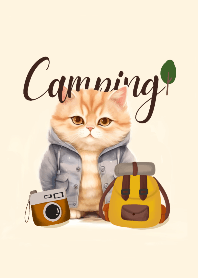 Camping with cat