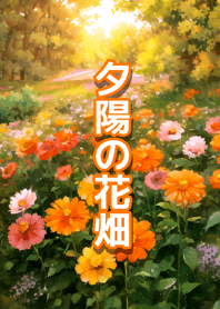 夕陽の花畑