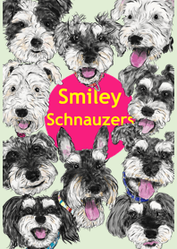 Smiley Schnauzers - 4