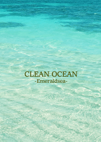 CLEAN OCEAN Emerald sea HAWAII 42