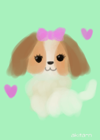 可愛い犬のリボンちゃん
