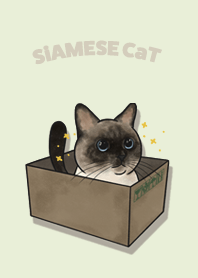 siamesecat1 / pale green