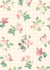 ลายสก็อตกุหลาบ3