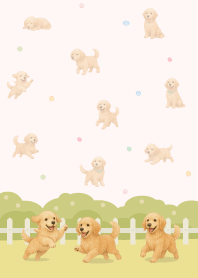 Golden Retriever in the garden/pink2