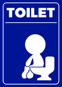 TOILET BOY