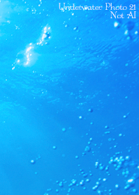 Underwater Photo 21 Not AI