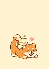 시바와 고양이 베스트프렌드
