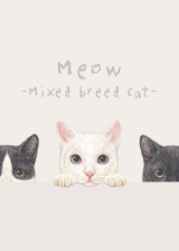 Meow-Mixed breed cat 02-PASTEL IVORY