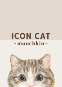 ICON CAT - Munchkin - BROWN/05