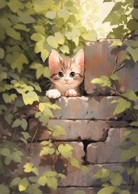 可愛的小橘貓在牆上2