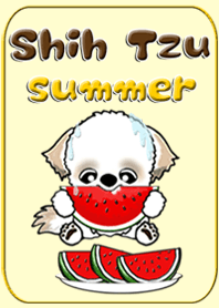 シーズー犬の夏