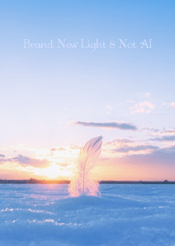 Brand-New Light 8 Not AI